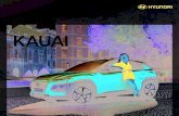KAUAI · 2020. 9. 17. · Grelha em cascata Luzes diurnas em LED Design. De linhas vanguardistas, o novo KAUAI é um automóvel único visto de qualquer perspetiva. Com múltiplas
