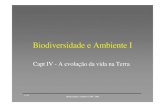 Biodiversidade e Ambiente Imaloucao/Aula 12BA.pdf · 2010. 12. 10. · •Diversidade de fetos •Passos evolutivos •Características reprodutoras. •Esporóﬁlos. Esporangióforos.