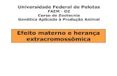 FAEM - DZ Curso de Zootecnia Genética Aplicada à Produção … · 2011. 10. 10. · 1 de um cruzamento e a F 1 de seu recíproco . Title: Slide 1 Author: JR Created Date: 10/10/2011