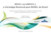 REDD+ na UNFCCC e a Estratégia Nacional para REDD+ do Brasilredd.mma.gov.br/images/cct-pact/cctpact-ppt-reddnaunfccc... · 2016. 12. 21. · Em paralelo aos trabalhos do GT REDD+,