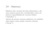 24 – Matrizes - UBIdi.ubi.pt/.../Teorica_TiposEstruturados-Matrizes.pdf · 2008. 9. 19. · O trabalho com matrizes é similar ao com vectores, devemos acessar os elementos individualmente.