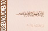 As Dimensoes Intangiveis do Desenvolvimento Sustentavelrepiica.iica.int/docs/B3824p/B3824p.pdfo governo do Estado do Maranhão, com a certeza de que as grandes transformações da