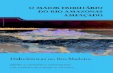 O MAIOR TRIBUTÁRIO DO RIO AMAZONAS AMEAÇADOphilip.inpa.gov.br/publ_livres/Dossie/Mad/Outros... · 2012. 5. 18. · O rio Madeira é o principal afluente do Rio Amazonas, tem 1.700