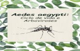 AEDES AEGYPTI: Ciclo de vida e Arboviroses...ciclo de vida do mosquito será interrompido. O ovo do A. aegypti mede aproximadamente 0,4 mm de comprimento e é difícil de ser observado.