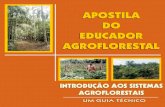 Agrofloresta.net – Sistemas Agroflorestais – SAF's - Apostila ...agrofloresta.net/static/mochila_do_educador_agroflorest...05 SISTEMAS AGROFLORESTAIS (SAF’S) “AVALIAÇÃO DA