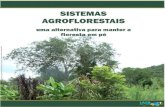 SISTEMAS AGROFLORESTAIS - Terra Brasilis...Agrofloresta ou Sistema Agroflorestal, como é mais conhecido hoje em dia. Neste caso, somente não é indicado resgatar o manejo da área