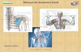 Manual de Anatomia Geral - MassagemPro - o sistema ......4. Atlas de Anatomia Humana, de Frank Netter, MD, ISBN 85-363-0248-8 5. Massoterapia Clínica, Integrando Anatomia e Tratamento