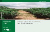 Irrigação da cultura da mandioca - Embrapaainfo.cnptia.embrapa.br/digital/bitstream/item/212614/1/...de distribuição de água pelo sistema e implicações no manejo de irrigação