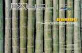 revista Painel - Associação de Engenharia, Arquitetura e ...dos livros “Bambu de Corpo e Alma” e “Bambu: Características e Aplicações em Engenharia e na Arquitetura”.