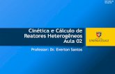 Cinética e Cálculo de Reatores Heterogêneos Aula 02...Cinética e Cálculo de Reatores Heterogêneos Aula 02 Professor: Dr. Everton Santos MKT-MDL-02 Versão 00. Sumário ... Vocabulários