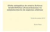 Efeito alelopático de aroeira Schinus terebinthifolius ...ecologia.ib.usp.br/curso/2015/pdf/API_BRUNO.pdf- A alelopatia pode estar atuando como um filtro biótico, restringindo o