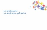 Le proteinurie La sindrome nefrosica · 2019. 3. 24. · •E’costituita prevalentemente da proteine normalmente filtrate dal glomerulo e riassorbite dal tubulo prossimale (b2-microglobulina,