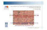 O FENÓMENO DA DESERTIFICAÇÃO EM PORTUGAL CONTINENTAL das aulas... · 2018. 12. 9. · Informação base: carta de solos (1:1000000), actualização em 2003 Indicadores: Espessura,