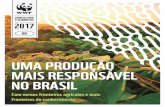 UMA PRODUÇÃO MAIS RESPONSÁVEL NO BRASIL · 2017. 5. 30. · No caso do Cerrado, com 88 milhões de hectares e 44% da terra agrícola brasileira, o bioma produz 40% da carne bovina,