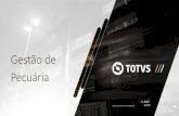 Gestão de Pecuária - Eventos 2020...Manufatura Serviços Saúde Varejo A TOTVS em números e conquistas: Líder em ERP no Brasil, com mais de 50% de market share #1 na América Latina