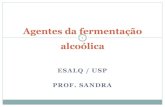 Agentes da fermentação · 2016. 10. 24. · fermentação (1) Respiração oxidação biológica de substratos orgânicos sob sistemas multienzimáticos que catalisam a oxidação