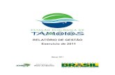 RELATÓRIO DE GESTÃO Exercício de 2011...Este Relatório de Gestão da ESEC Tamoios tem por finalidade disponibilizar as informações geradas pela equipe quanto à execução de