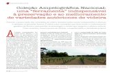 Garantir a preservação das variedades de videira deixadas pelos … · 2020. 11. 20. · sistentes (PIWI) e até do vinho produzido em modo biológico. Assim, o estudo de adaptabi-lidade