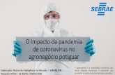 O Impacto da pandemia de coronavirus no agronegócio potiguar Sebrae/UFs/RN...O Impacto da pandemia de coronavirus no agronegócio potiguar Elaboração: Núcleo de Inteligência de