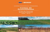 Contas de Ecossistemas - United Nations 2020. 11. 6.آ  NATIONS, 2014): os biomas terrestres brasileiros