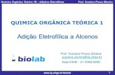 Instituto de Química - Adição Eletrofílica a Alcenosweb.iq.ufrgs.br/biolab/images/courses/Aula-21-24-Adio... · 2016. 11. 4. · Química Orgânica Teórica 1B –Adições Eletrofílicas