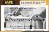 I JORNADA RIOGRANDENSE DE DIREITO PREVIDENCIÁRIO DO IAPE.iape.com.br/wp-content/uploads/2019/12/IAPE-JORNADA-riog... · 2020. 8. 10. · •O prof. Frederico Amado, Procurador Geral