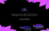 Corona de Cítricos - Jordi Bordas · 2021. 1. 18. · Agua Azúcar de coco 73.00 % 9.00 % 18.00 % Tostar las almendras a 140 ºC durante 25 minutos en un horno venUlado con el Uro
