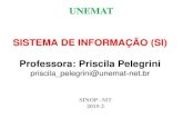 UNEMATsinop.unemat.br/site_antigo/prof/foto_p_downloads/fot_114323__si_… · Segundo a Revista Info Exame (maio, 2001) a GM se destacou em 2000, por ter sido a empresa que teve o