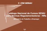 Catálogo Nacional de Cursos SENAI para Normas ......¹ O item 5.33 da NR5 descreve que o Treinamento de CIPA deve contemplar, no mínimo: • Estudo do ambiente, das condições de