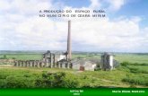 A PRODUÇÃO DO ESPAÇO RURAL NO MUNICÍPIO DE CEARÁ-MIRIM · 2017. 10. 19. · Tabela 3 – Efetivo do rebanho bovino no município de Ceará-Mirim e no estado do RN, nos anos de