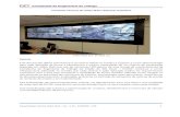 Premissas Técnicas do Vídeo Wall e Sistemas Auxiliares · 2016. 11. 7. · constantemente atualizada e ampliada em função dos avanços tecnológicos em curso). ... Display Port