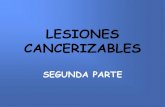 LESIONES CANCERIZABLES - GENERACION O8 ODONTOLOGIA · 2018. 10. 12. · »SÍNDROME DE PLUMMER-VINSON »SÍFILIS »DEFICIENCIA DE VITAMINA A »CIRROSIS HEPÁTICA »INMUNODEFICIENCIAS