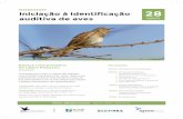 MINICURSO Iniciação à identificação auditiva de aves MARÇO · 2020. 3. 4. · MINICURSO FORMADOR: Paulo Alves, consultor ambiental com vasta experiência em gravação e análise