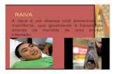 RAIVA - Educacional · 2012. 5. 30. · da raiva, éutilizado o soro antirrábicono tratamento e a vacina como profilaxia quando a pessoa infectada não desenvolveu ainda os sintomas