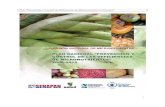 Plan “Prevención y Control de Deficiencias de Micronutrientes ......Plan “Prevención y Control de Deficiencias de Micronutrientes en Panamá” - 4 - Siglas A2Z The USAID Micronutrient