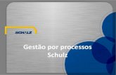 Gestão por processos Schulz · 2021. 5. 12. · BPM na gestão de demandas de TI 2012 BPM no processo comercial da divisão Automotiva. PROCESSO DE GESTÃO DE DEMANDAS NA TI ANTES