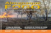 Almanaque do fogo 28-9fogo na vegetação pode ocasionar a morte de vários animais, plantas e a poluição do ar. O fogo no céu em forma de balões coloridos pode queimar casas e