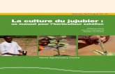 World Agroforestry Centre - Bréhima Koné Antoine ...apps.worldagroforestry.org/downloads/Publications/PDFS/...Afrique de l’Ouest et du Centre (ICRAF-WCA) en collaboration avec