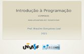 Introdução à Programaçãobrauliro.leal/ensino/IP/IP.0.pdfEmenta Conceitos básicos de linguagens de programação. Histórico, classificação e principais aplicações de linguagens