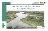Universidade Federal de Minas Gerais - REVITALIZAÇÃO DO ......2004-2007 - PPA – Programa de Revitalização de bacias Hidrográficas 2008-2011 – PPA/PAC Ministério da Integração