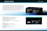 FUB-1270 DS SPA HR V1img.cartimex.com/v2/pdf/FUB-1270.pdf · 2018. 2. 8. · UPS-Unidades de alimentación ininterrumpida Luces de emergencia Sistemas de seguridad y protección contra