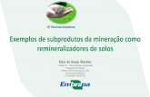 Exemplos de subprodutos da mineração como ......Exemplos de subprodutos da mineração como remineralizadores de solos Eder de Souza Martins Geólogo, Dr. –Geomorfologia e Agrogeologia