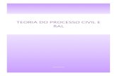 Teoria do Processo Civil e RAL - Universidade NOVA de Lisboa...Teoria do Processo Civil e RAL | Joana Moser Página 5 de 50 Tenho direito de fazer um processo de início ao fim, mesmo
