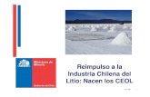 Reimpulso a la Industria Chilena del Litio: Nacen los CEOL FTC.pdf · 2017. 11. 8. · Reimpulso a la Industria Chilena del Litio. La demanda se sustenta en aplicaciones tecnológicas
