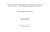 ESTANDARIZACIÓN DE UN PROTOCOLO DE CITOMETRÍA DE FLUJO …repository.javeriana.edu.co/bitstream/10554/8387/1/tesis... · 2020. 4. 15. · Tabla de contenido 1. Introducción ...