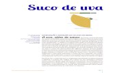 Suc d · 2017. 6. 12. · (História do Brazil, por Frei Vicente do Salvador, escrito em 1995). No Rio Grande do Sul, as primeiras atividades vitícolas são registradas somente a