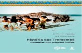 HISTÓRIA DOS · 2019. 10. 9. · nos tempos coloniais, desde a foz do rio Gurupi, no Maranhão, até a Serra de Ibiapaba, no Ceará, até a foz do rio Aracatimirim. Os Tremembé