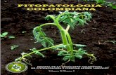 2... · 2020. 7. 24. · POLÍTICA EDITORIALFITOPATOLOGÍA COLOMBIANA . La revistaFITOPATOLOGÍA COLOMBIANA es una publicación de la Asociación Colombiana deFitopatología y …