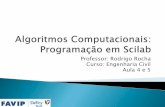 Professor: Rodrigo Rocha Curso: Engenharia Civil Aula 4 e 5rrbs/Algoritmos_/Aula 4 e 5.pdf · 2016. 3. 24. · Curso: Engenharia Civil Aula 4 e 5 . Linguagem de Programação? Tecnologia