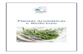 Plantas Aromáticas e Medicinais · 2020. 10. 21. · As PAM – Plantas aromáticas e medicinais - são todas aquelas que pelo menos uma das suas partes, raízes, caules, folhas,